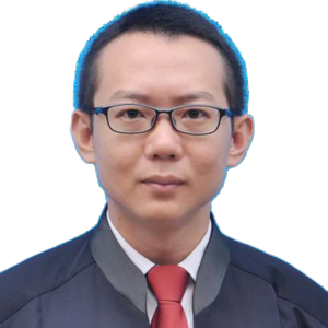 苏湖城律师