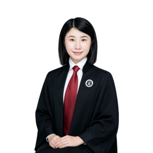 边塞律师
