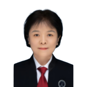 仲玲维律师