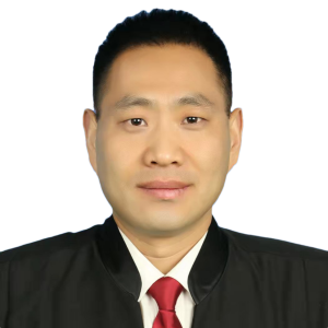 陈洪法律师