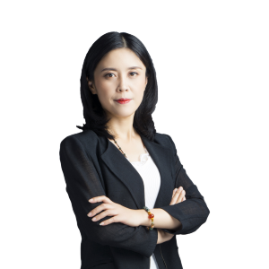 廉洁律师