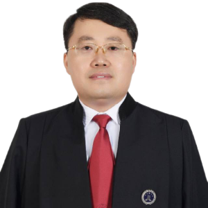 王占船律师