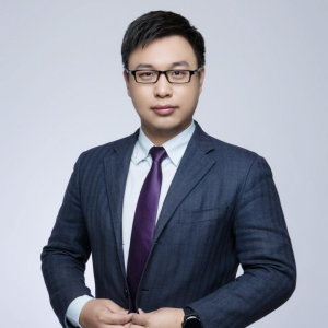 蒋岭律师