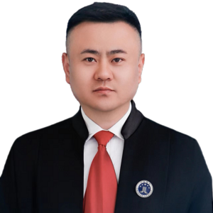 杨少彬律师