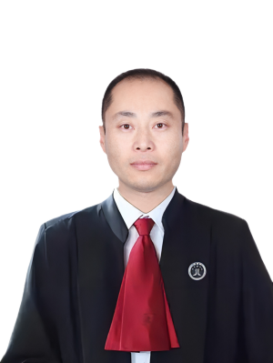 吴镇南律师