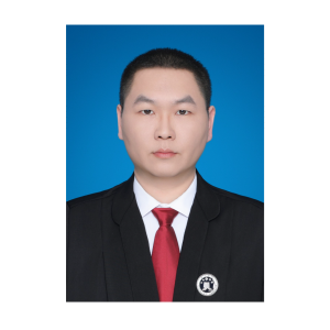 陈文龙律师