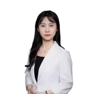 党政律师