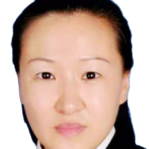 张磊律师