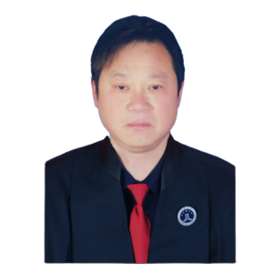 陶文森律师