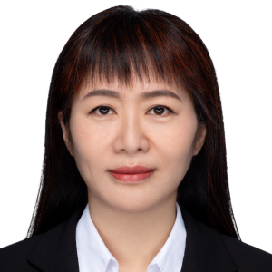 宋黎明律师