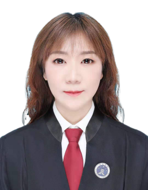 万莉莉律师