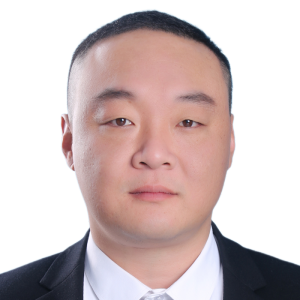 何城律师