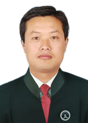 张磊律师