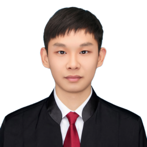 陈星元律师