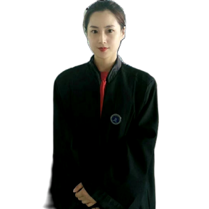 毛淳律师