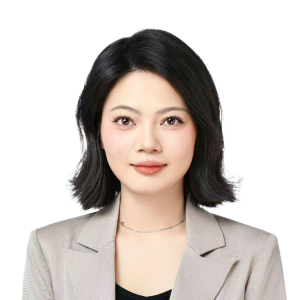 龙莎律师