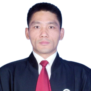 杨建文律师