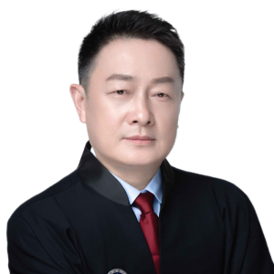 龙泽平律师