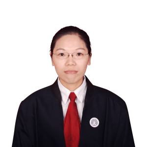 胡小蓉律师