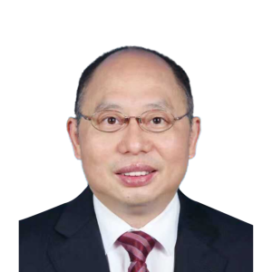 杨文律师