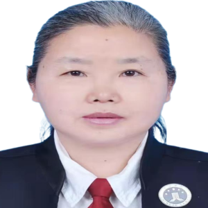 陈莉律师