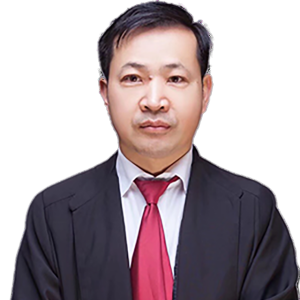 杨国富律师