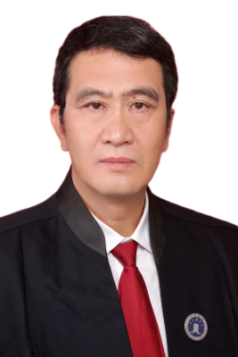 卢伟律师