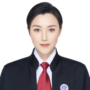 高一力律师
