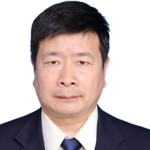 王电红律师