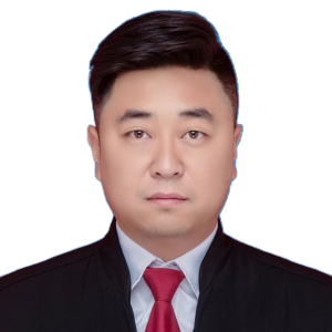 齐小龙律师