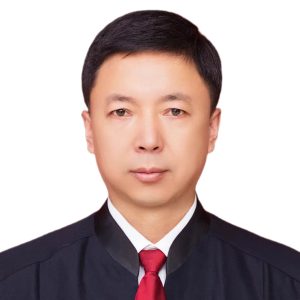 高万春律师