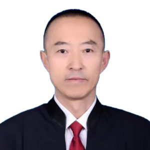 王献新律师