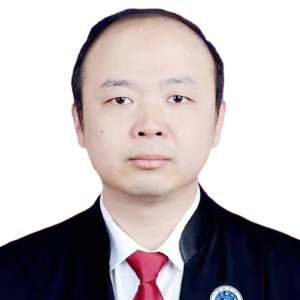刘家林律师