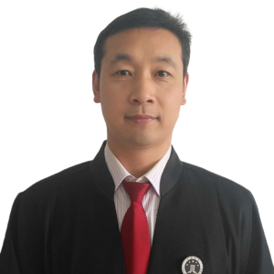 卢振宁律师