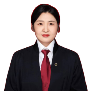 赵文帝律师