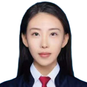 王迪律师