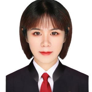 杨迪律师