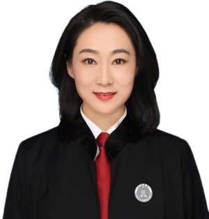 杨帆律师
