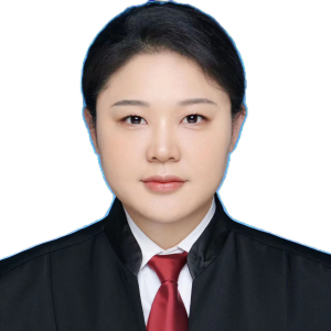 刘星律师