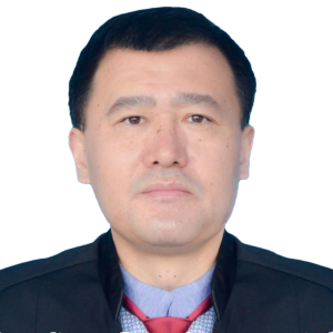 杨雪律师