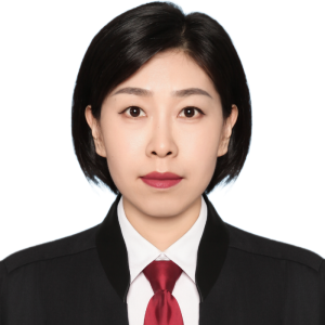 岳嵩律师