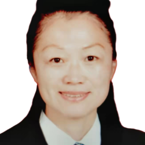 宋振红律师