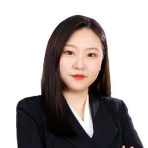 刘蕾律师