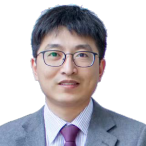 王晶律师