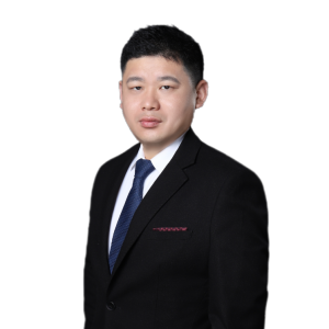 孟宪蕾律师