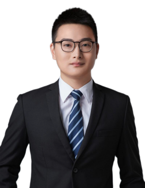杨逸飞律师