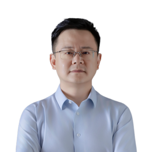 王东律师