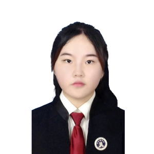 王梦琪律师