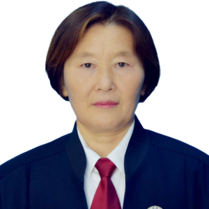 刘淑律师