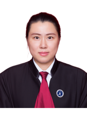 齐敏律师